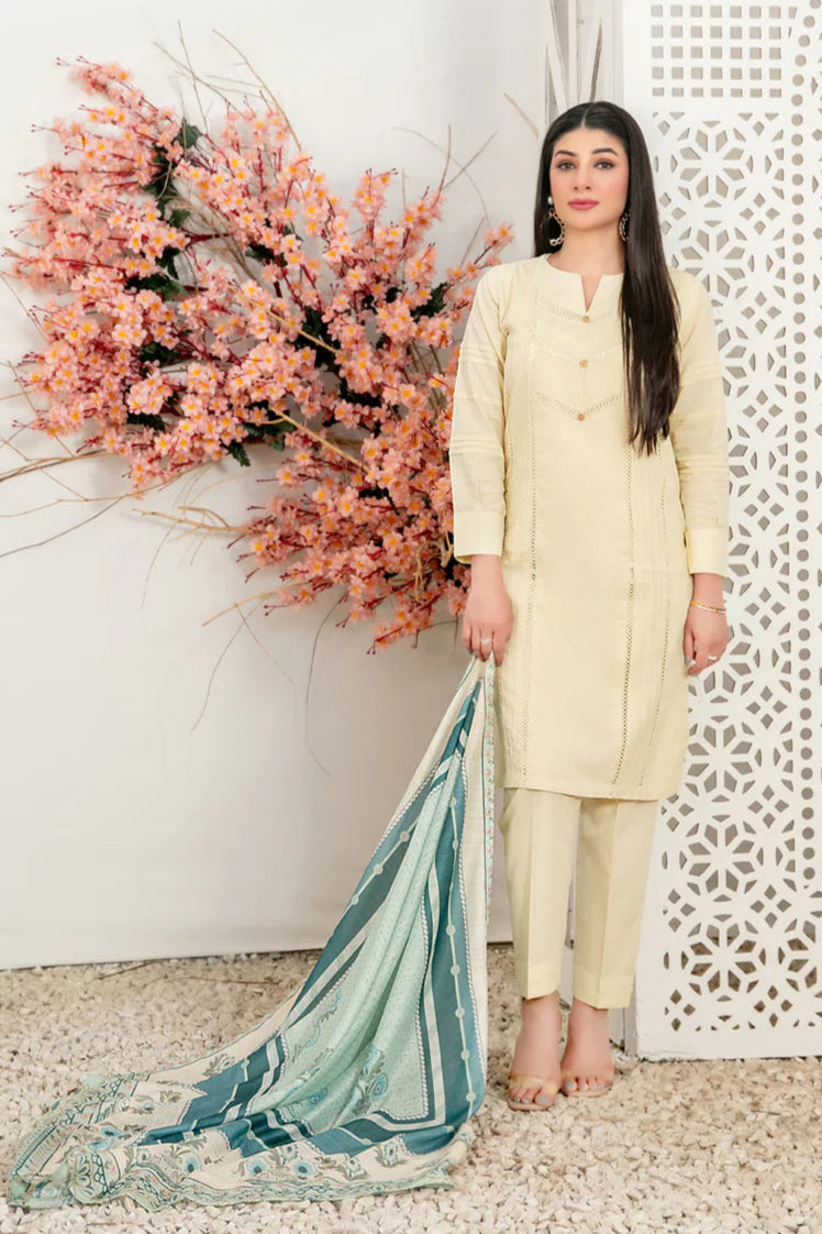3 PIECE | ARMEEN VOL II | EMBELLISHED LAWN SUIT