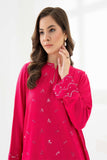 2 PIECE | EMBROIDERED KARANDI SUIT - ALZENAP9348ST - XS