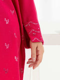 2 PIECE | EMBROIDERED KARANDI SUIT - ALZENAP9348ST - XS