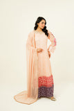 MEHVAH | EMBROIDERED CHIFFON SUIT