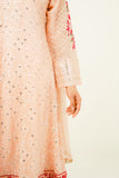MEHVAH | EMBROIDERED CHIFFON SUIT
