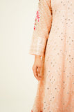 MEHVAH | EMBROIDERED CHIFFON SUIT