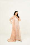 NISAARA | EMBROIDERED CHIFFON SUIT