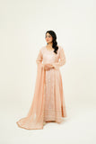 NISAARA | EMBROIDERED CHIFFON SUIT