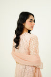 NISAARA | EMBROIDERED CHIFFON SUIT
