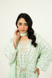 ARIZAH | EMBROIDERED CHIFFON SUIT