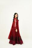 MEHVAH | EMBROIDERED CHIFFON SUIT