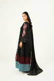 MEHVAH | EMBROIDERED CHIFFON SUIT